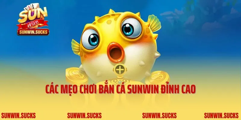 Các mẹo chơi bắn cá Sunwin đỉnh cao